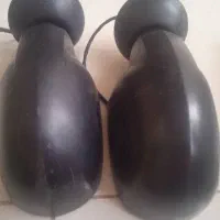 فرمون دنا