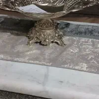 یک عدد میوه خوری سیلور ویک عدد سینی استیل مستطیل