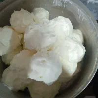 کره بز کوه شورم درجه یک