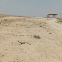 فروش-زمین