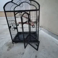 قفس آهنی عروس هلندی .کاکادو .وغیره