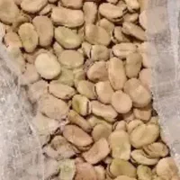 باقلا
