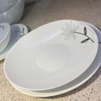 دو سرویس 26 پارچه آرکوپال