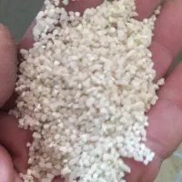 خورده برنج لنجونی درجه یک باعطر بو