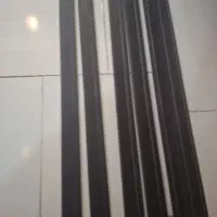 ۱۰ شاخه قرنیز شاخه ای ۲۵۰