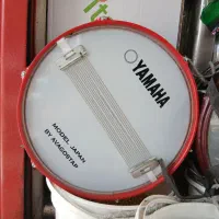 دهل بچه گانه