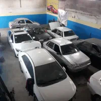 صافکار نقاش ماهر
