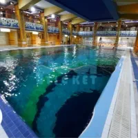 کارت استخرصدرا