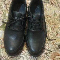 کفش مردانه کاملا نو
