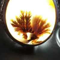 بیمه