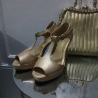 کیف مجلسی کیف مجلسی