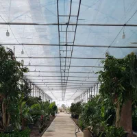 نیروی کار ساده برای گلخانه