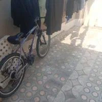 سالم