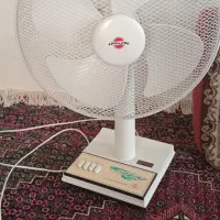 پنکه ایستاده