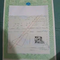 زمین-گردخون