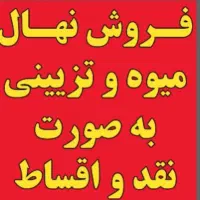 فروش درخت میوه و تزیینی چند ساله به صورت نقد اقساط