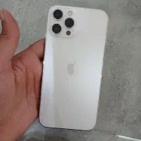 12 pro max
