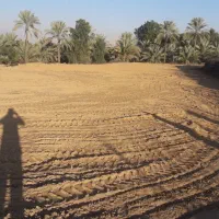 زمین ۱۲۰۰ متری نظرآقا
