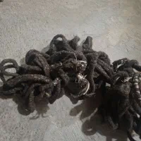 رسن (طناب محلی)