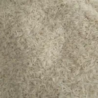 برنج محلی عنبربو شمشیری کاشت دره شهر