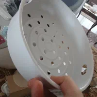 بخارپز