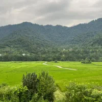 فروش-فوری-زمین-مسکونی-با-ویلا-بر-اسفالت-ویو-ابدی
