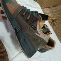 کفش سفارش کره گورتکس