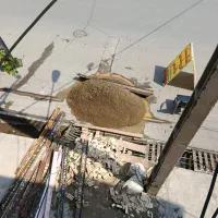 کنترات