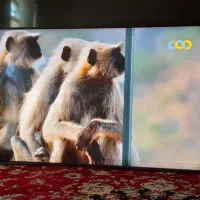 خریدتعمیرتلویزیون شکسته کنترل ال ای دی پخش ماکروفر