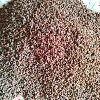 کشمش اعلا درجه ۱