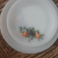 ظروف ارکوپال گل میوه و گل آبی اصل فرانسه