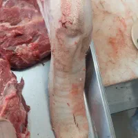 گوشت کله گوساله تازه