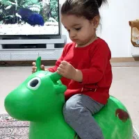 موکت پالاز
