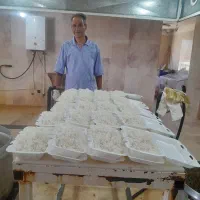 اشپزی