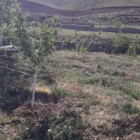 زمین پردیس واصفجان