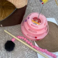 گربه|گربه|قم, میرزائیه|دیوار
