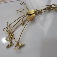 چوبکار طلایی