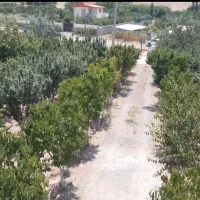 باغ-ویلا