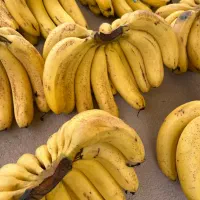 موز عالی شیرین فقط امروز۲۵۰ مناسب شیرموز
