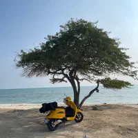وسپا