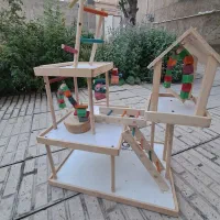 پارک عروس هلندی