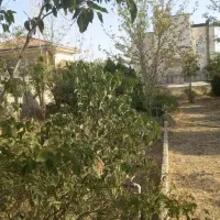 فروش1000مترباسندتک-برگ-آماده-ساخت-سهیلیه-زعفرانیه