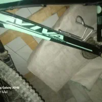 دوچرخه ویوا