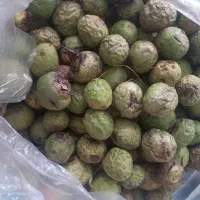 گردو|خوردنی و آشامیدنی|کرمانشاه, |دیوار