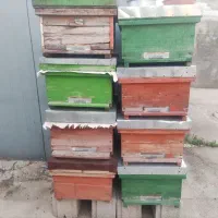 کندو خالی زنبور عسل