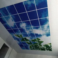 استخدام نیروی کنافکار