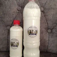 دوغ سنتی پرچرب