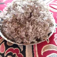 فروش|خوردنی و آشامیدنی|مشهد, شهید جنگی|دیوار