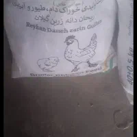 دان اماده پایانی حدودآ پنچ تن پلمپ ریحانه دان