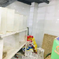 استند بساط سبزی